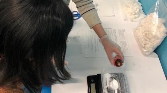 Pooja Patel and Youbin Lee begin measure materials needed for the Fabiont prototype