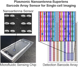 Plasmonic sensor for single cell sensing