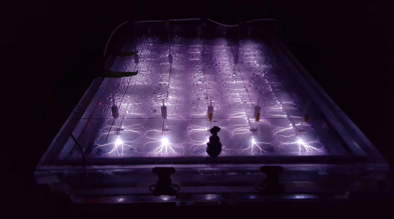 Plasma in a tray, inside of a dark room