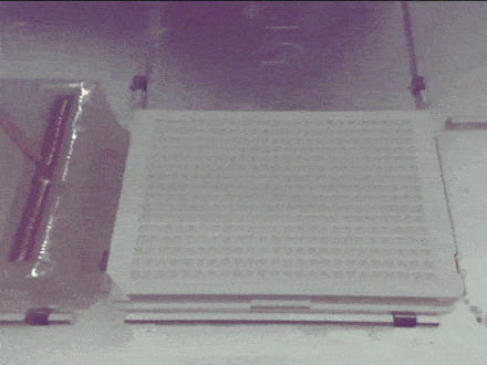 an ai-enabled machine that spells out NYU in plastic