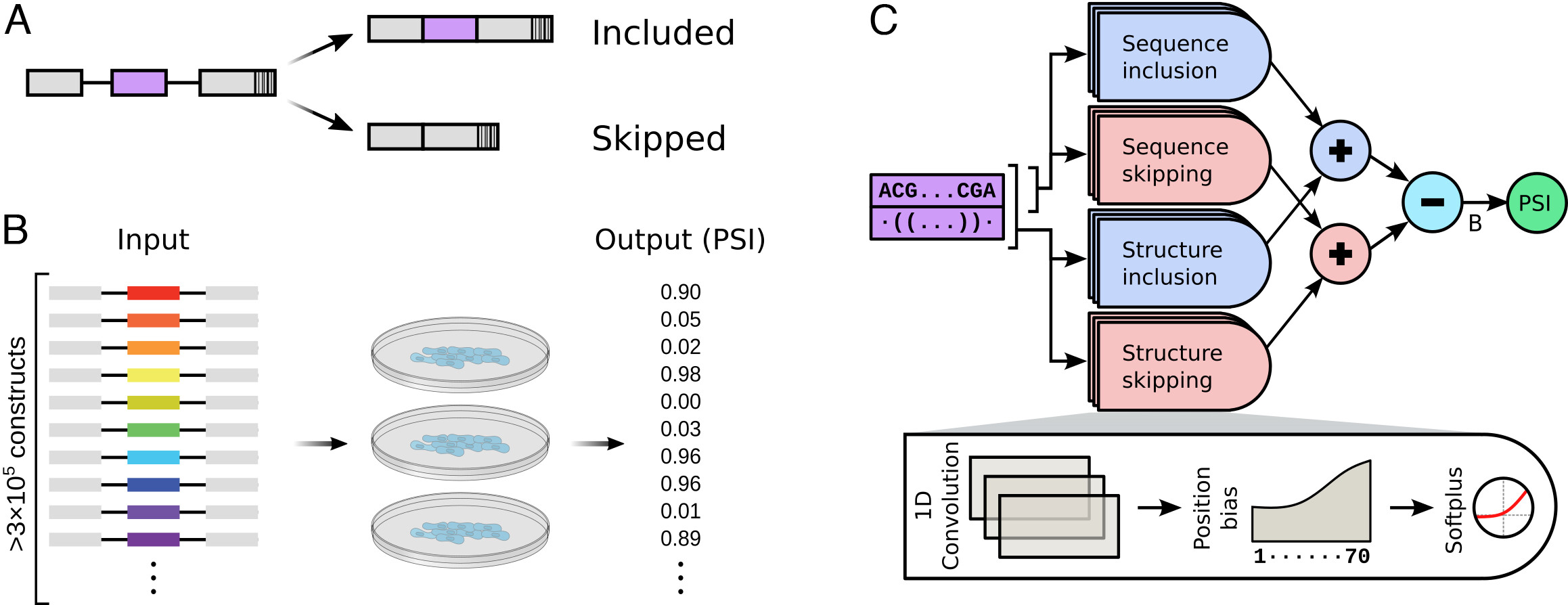 Infographic depicting a machine learning model of inclusion and skipped filters based on exon positional strength. 