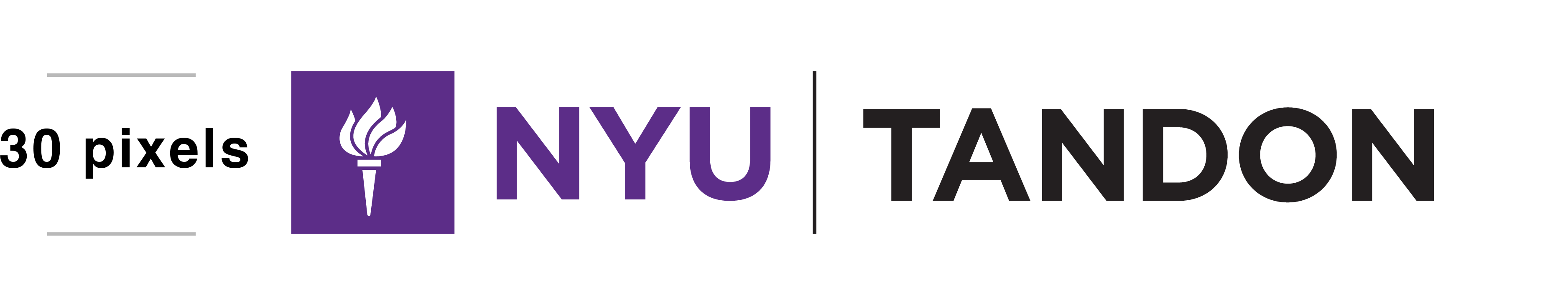 30 pixel NYU Tandon Logo for Digital