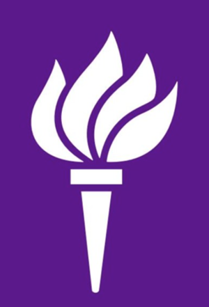 NYU Torch