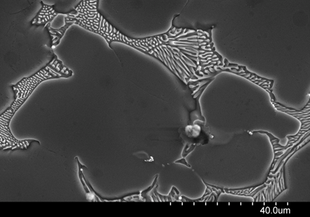 Image from electron microscope showing a large precipitate in magnesium alloy. These precipitates are dissolved through heat treatment, which substantially reduces the corrosion rate and makes the alloy very stable in the body.