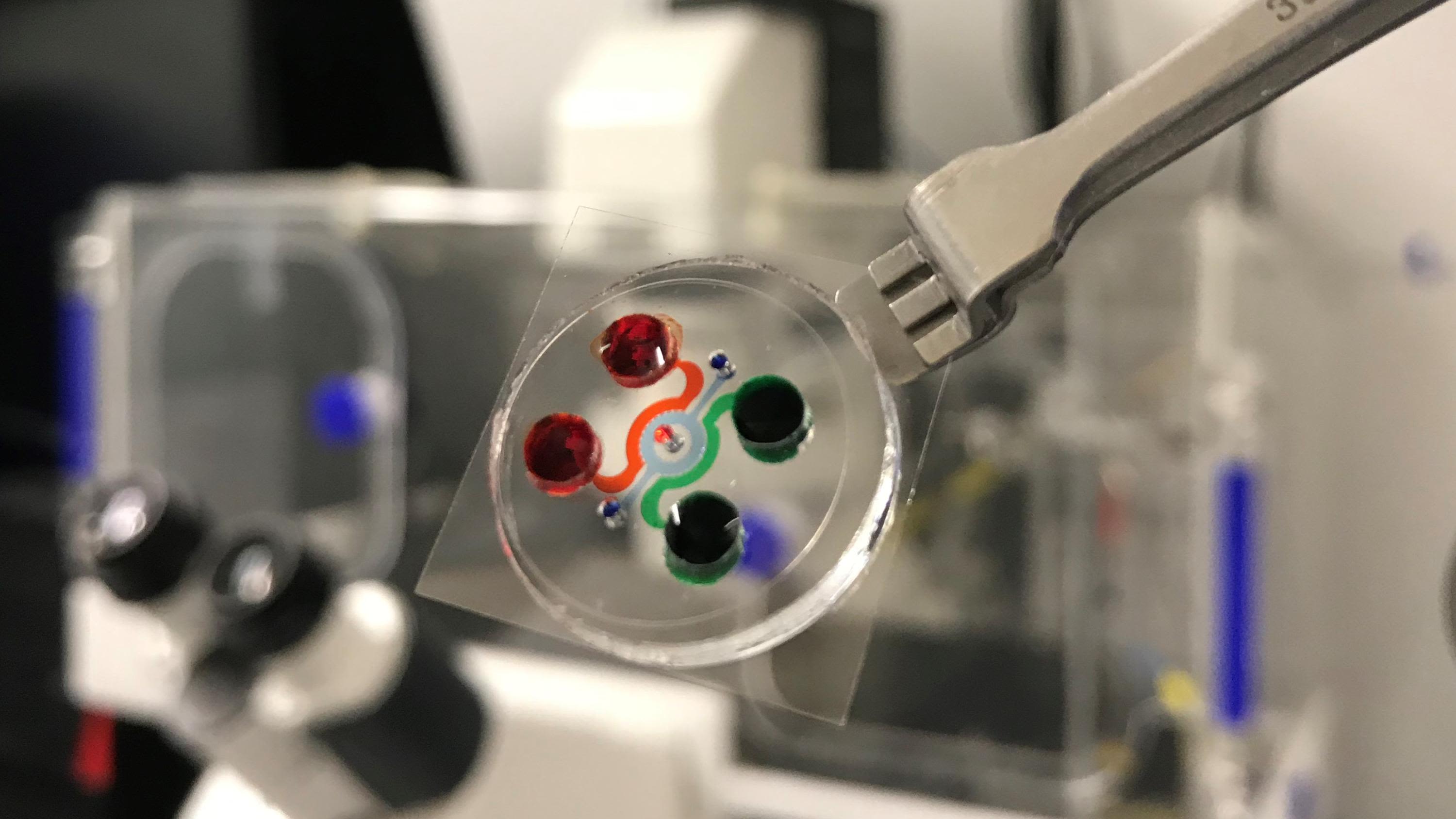 Medical chip in a lab setting.