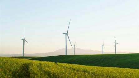 Wind Turbines in the distance of a grassy meadow.