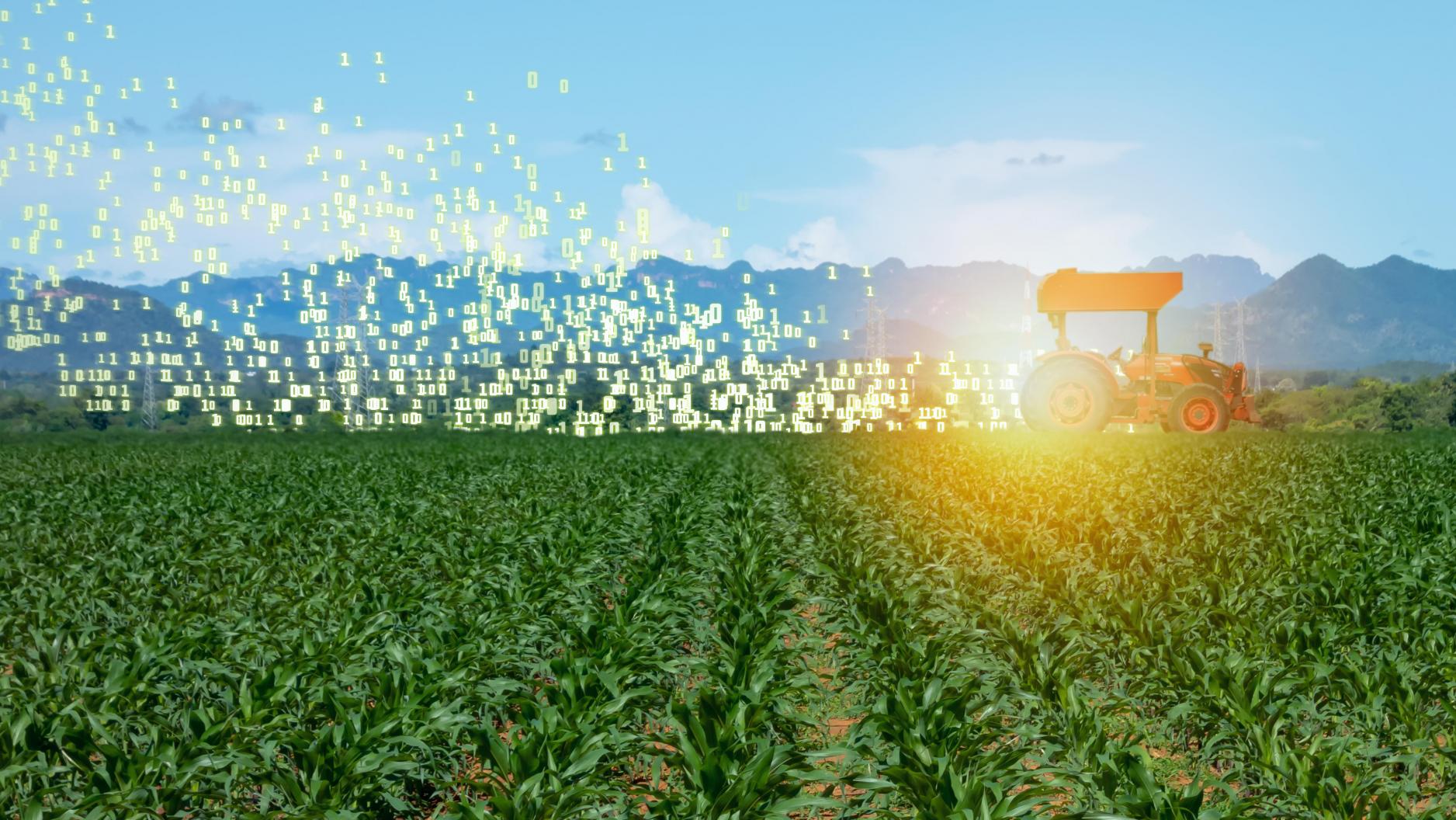 Newswise: Tandon Researcher Joins Major Collaboration Aimed at Using AI Models to Improve Agriculture