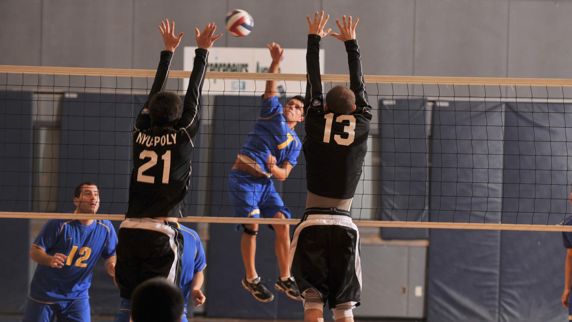 Men's Volleyball Falls to Mount Saint Vincent NYU Tandon School of