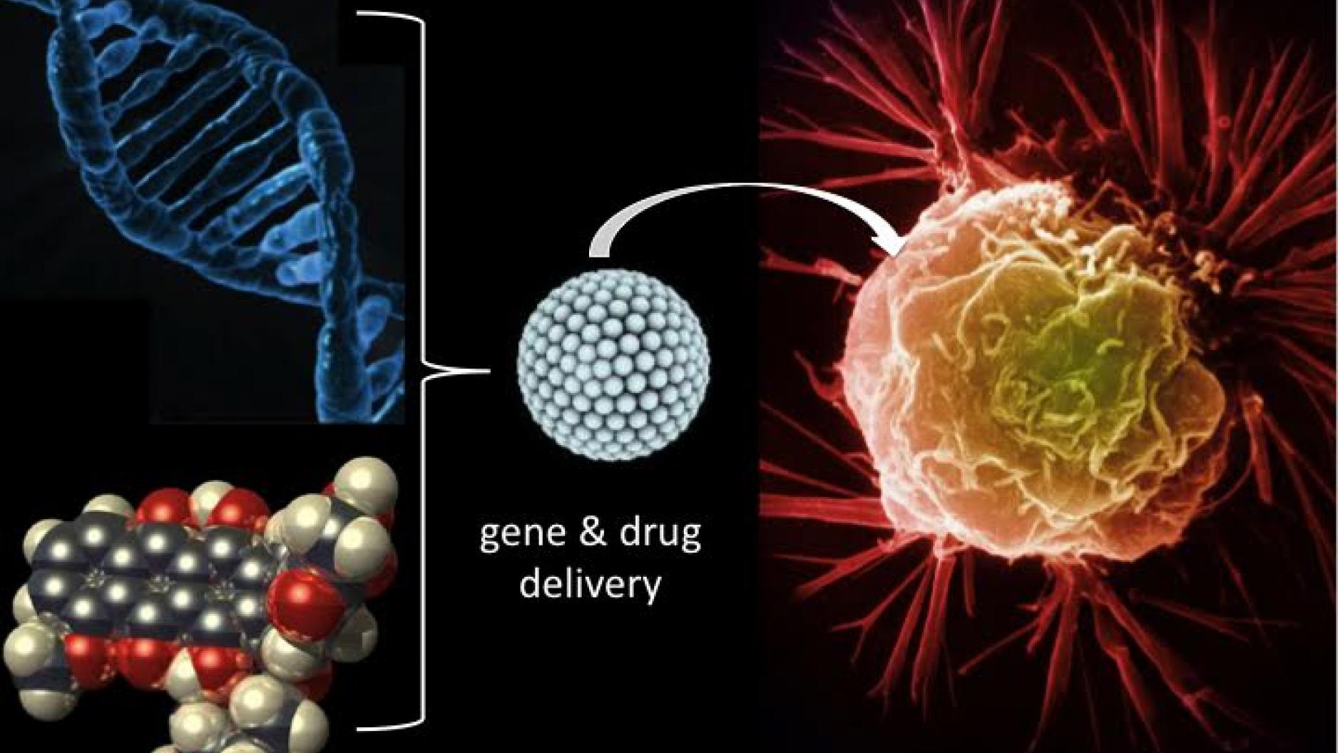 NYU Researcher Develops Unique Proteinbased Delivery System for Dual