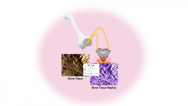 Schematic of bone replication technology, comparing organic bone tissue with the tissue replica.