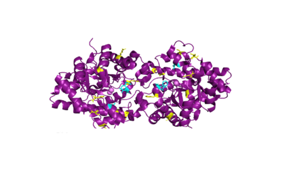 Chemical depiction of organophosphates, in purple and yellow.