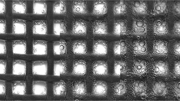 A textured black grid over a white beckround, with small bubbles around the holes