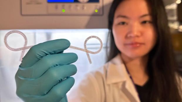 3-D printed Lily Stent being held up for the camera