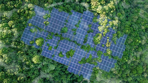 Solar panels surrounded by trees, shot from above