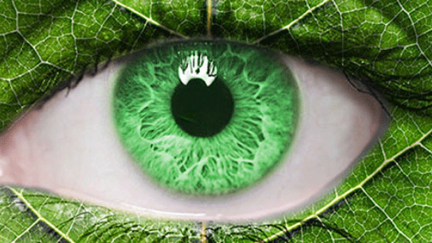 Green leafy eye