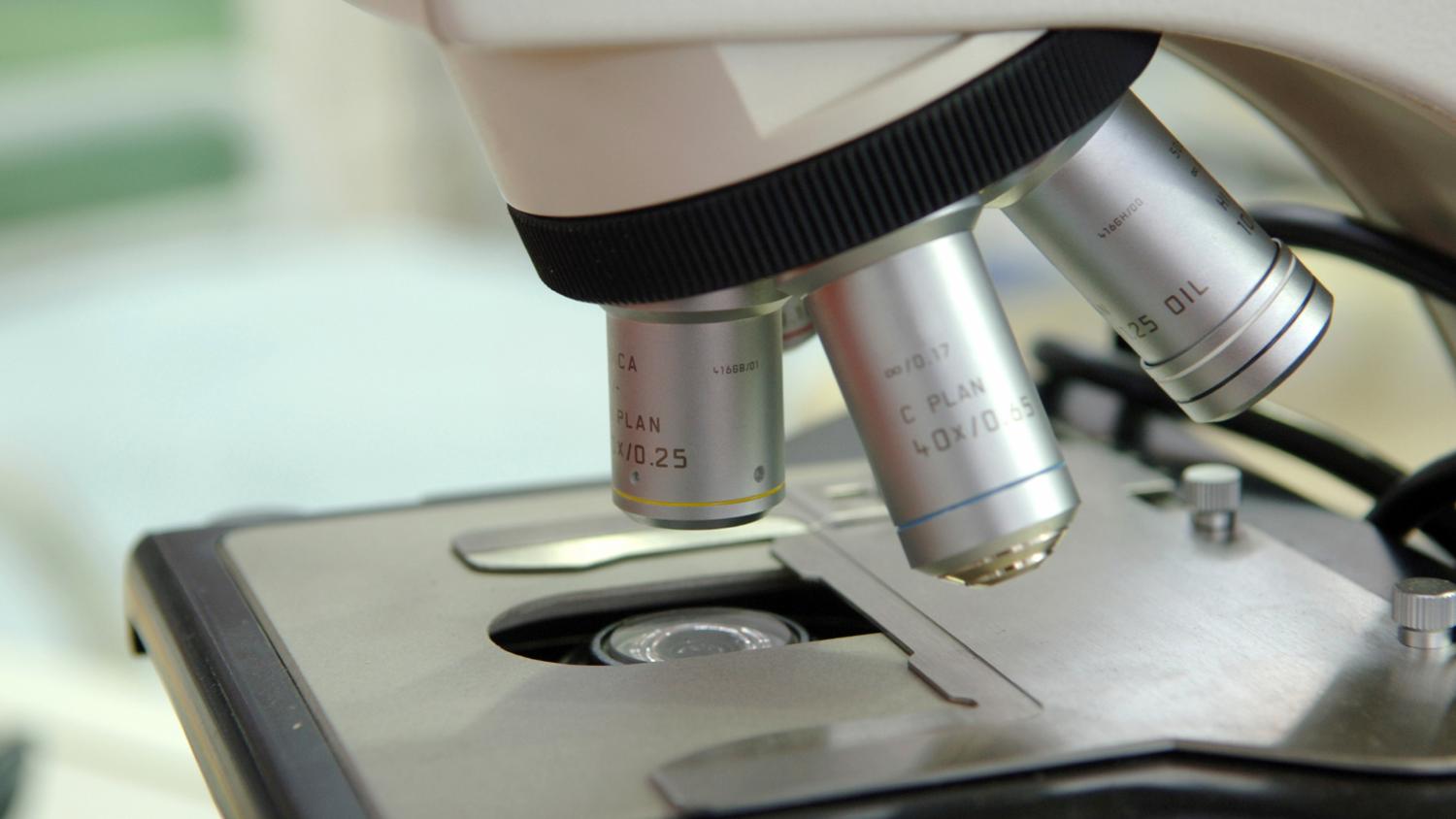 Ut Tyler Core Microscope Lab Labs and Groups | NYU Tandon School of Engineering