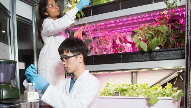 students in lab coats working with plants