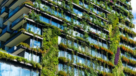 A high-rise building with plant life growing on the walls