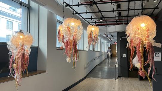 jellyfish-like structures hanging from ceiling