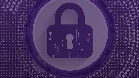 Cybersecurity and privacy lock