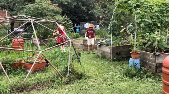 Two people work within a garden