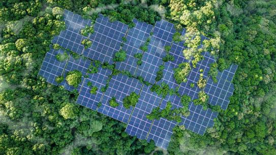 Solar panels surrounded by trees, shot from above
