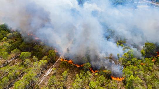 A spreading wildfire shot from above.