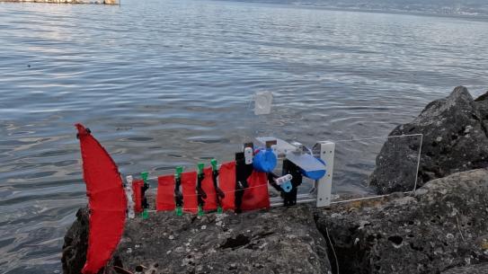 fish robot by the sea