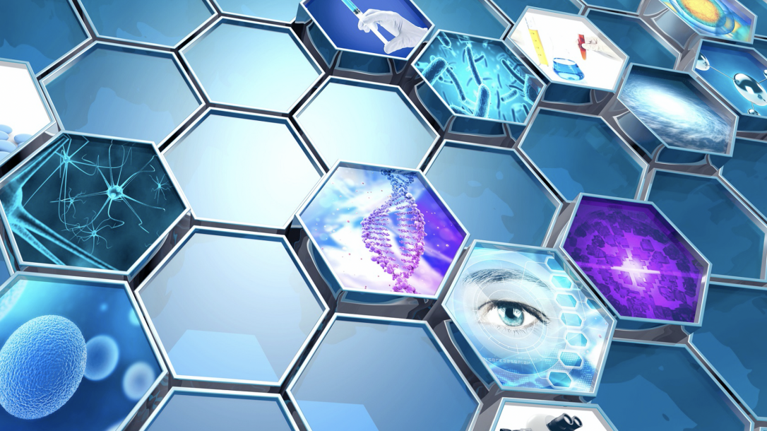 BIOMEDICAL ENGINEERING DEGREE LONDON visual data 6