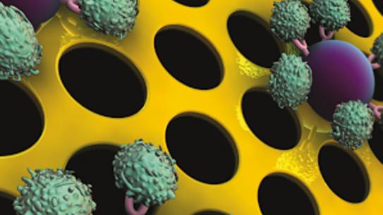 Visualization of cells, against a yellow perforated background.