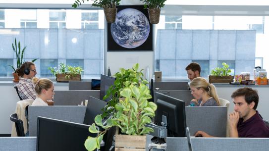 office with plants, earth poster and people working at cubicles 