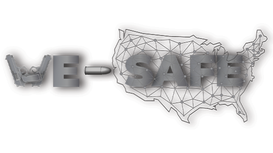 We-safe logo