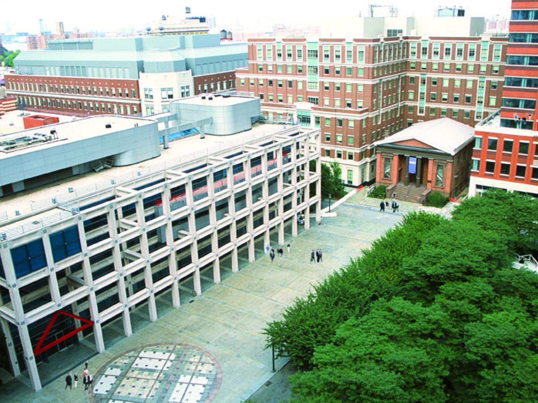 Undergraduate Admissions NYU Tandon School of Engineering