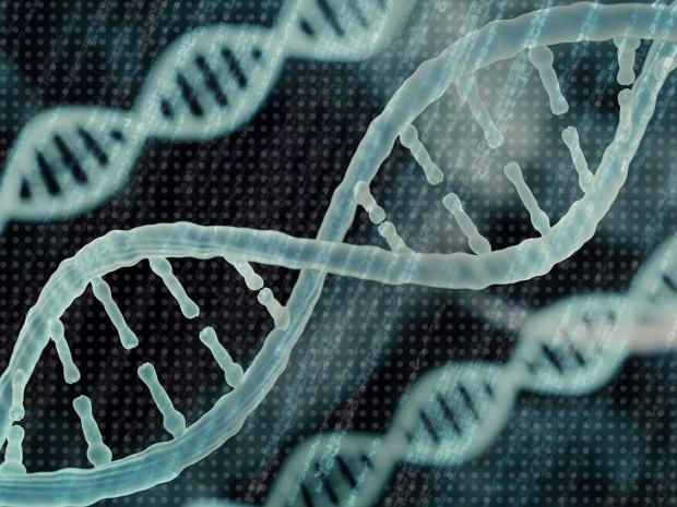 Bioinformatics DNA