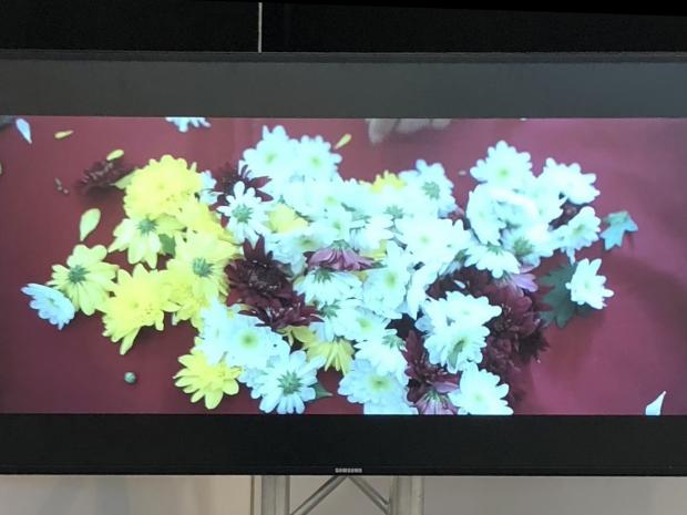 video screen with flowers