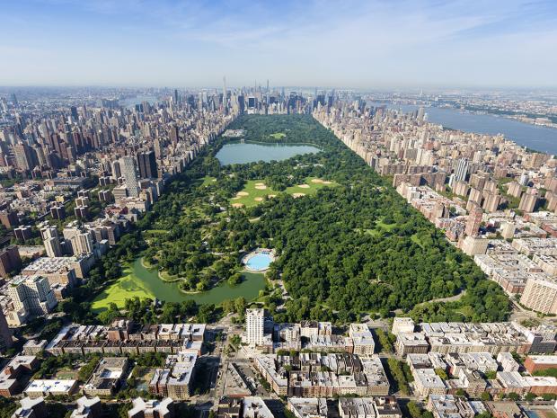 Central park as viewed from a tall building at one end.