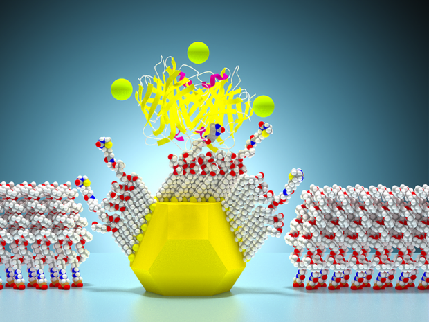 Illustration of a single-molecule nanodot array without pathogens
