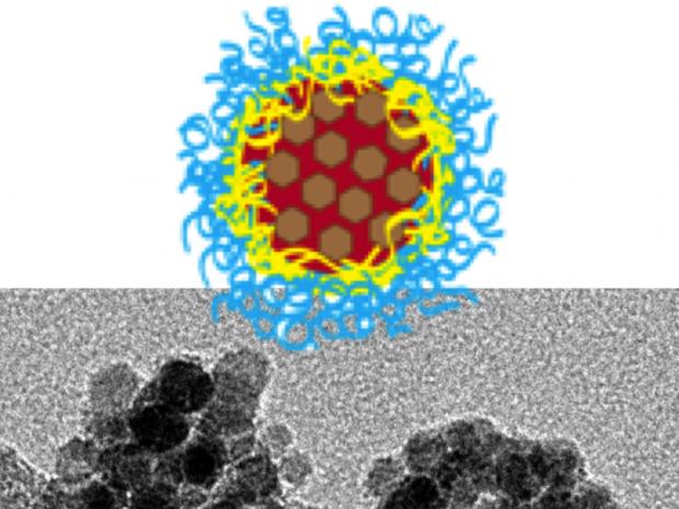 Schematic and TEM image of inorganic-organic hybrid nanoparticles for multi-modal imaging