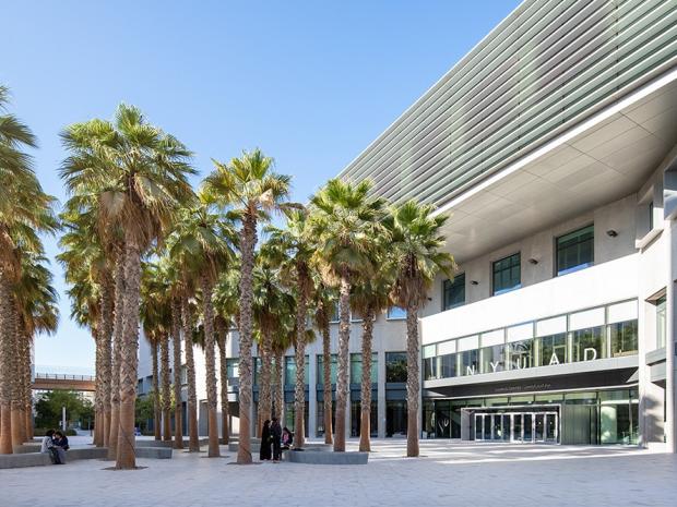 NYU Abu Dhabi campus with palm trees