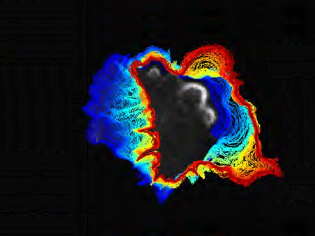 A Cos7 fibroblast-like cell with overlaid cell boundaries