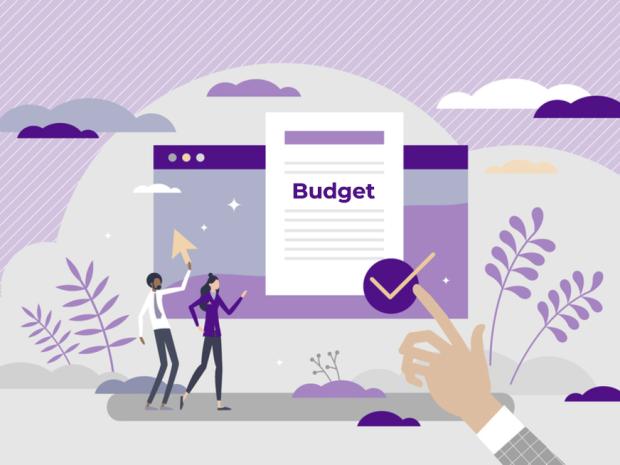 Tandon Finance - Budget