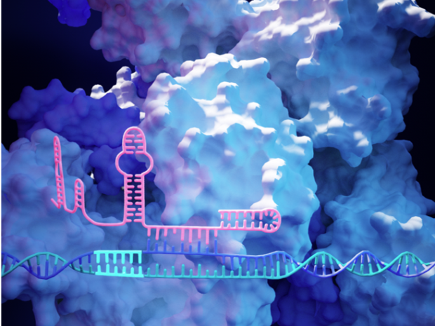 Molecular Bioengineering 