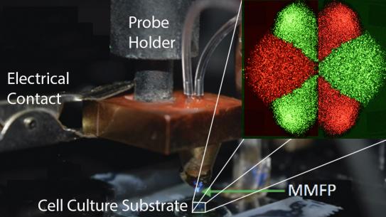 Electroporation-enabled Multiphysics Microfluidic Probe (MMFP)