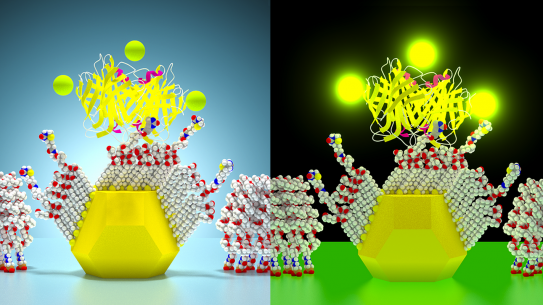 Illustration of a single-molecule nanodot array without pathogens (left). If pathogens are present it will glow green (right)