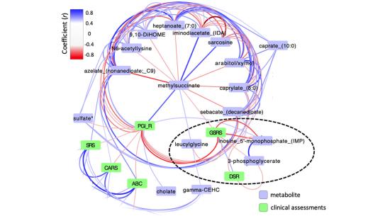 Example of correlation-based network analysis with plasma metabolites
