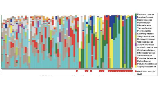 Gut microbiome bacterial compo-sitions in stool samples identified by 16S rRNA gene sequencing 