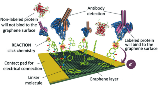 Illustration of a “Click-A+Chip”, which is a graphene-based bio-sensor 