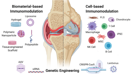 Lori setton abstract