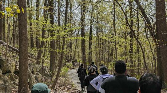 People walking on a trail