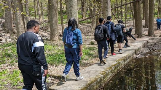 People walking in the woods